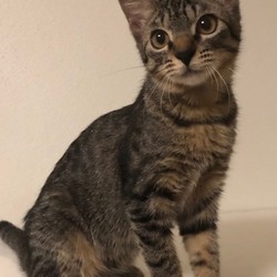 里親会IN IKEA立川 サムネイル3