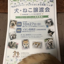 アニマルはにまる高槻による犬・猫譲渡会