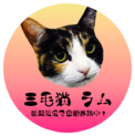 超絶美猫の三毛猫ラム(仮)♀