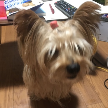 前髪伸ばしてます！