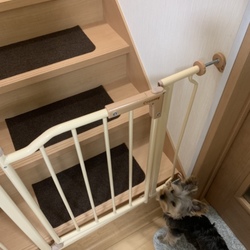 「寝室どうしてますか？その後」サムネイル1