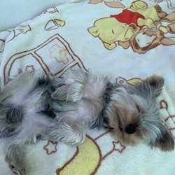 「寝室どうしてますか？その後」サムネイル2