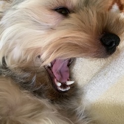 「寝室どうしてますか？その後」サムネイル3