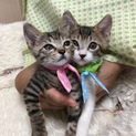 仲良しきょうだい2ヶ月
