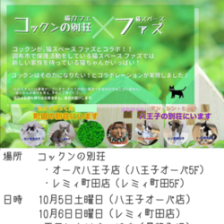 ファズの譲渡会　in　コックンの別荘レミィ町田店