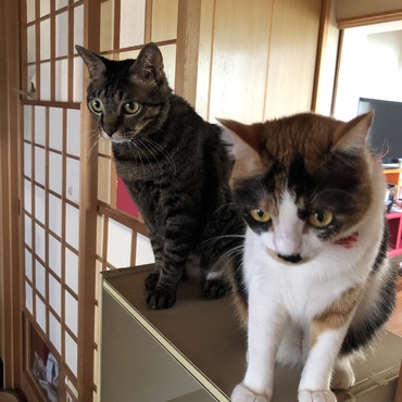 なにしとるの？