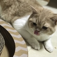 まりも