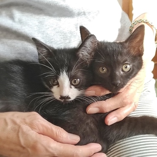 モノトーンで可愛い姉妹です。