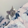 真乃さん