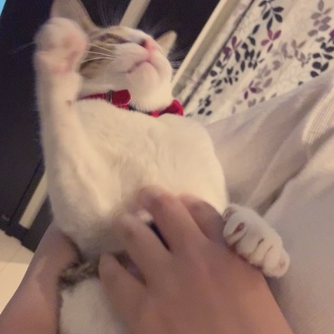 あなたは宝物ですえだまめちゃん
