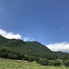 井守 有尾