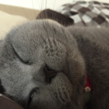 ベッキーの写真