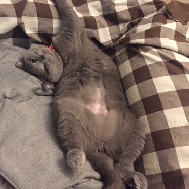 ベッキーの写真