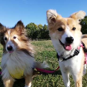 公園でならんで！