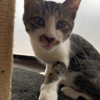 甘えん坊boy♪  航