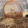 爆走！