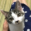 おちょぼ口が萌え♡あこちゃん生後4ヶ月