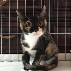 餌やりさんも色々