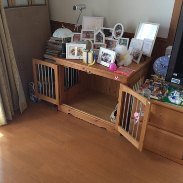 ワンコ部屋〜