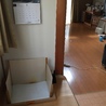 男子トイレ