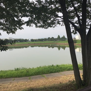 自然たっぷり池公園