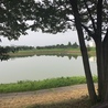 自然たっぷり池公園