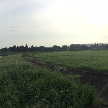 グルリと公園全景