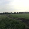 グルリと公園全景