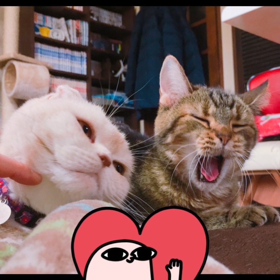 波のカバー写真