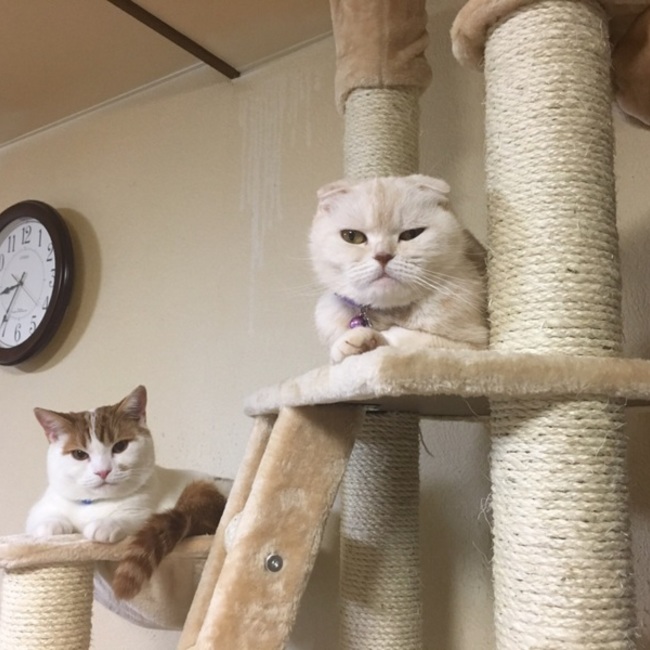 もみ3358のカバー写真