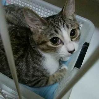 魅惑の瞳！美人過ぎる花黒ちゃん