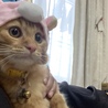 ユニコーン