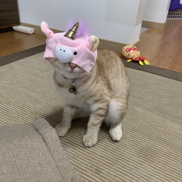 ユニコーン