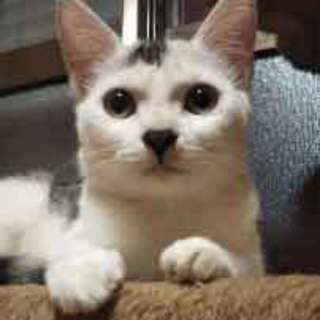 無愛想がチャームポイント♪ お花ぼう