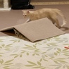 隠れんぼ中