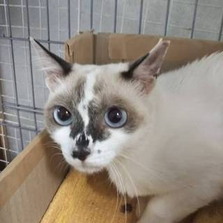 おとなしくて可愛い　イブちゃん♪