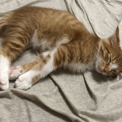 「ぼくくんについて」サムネイル2