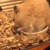 大好きなブロッコリー♪