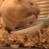 詰めすぎ‥笑