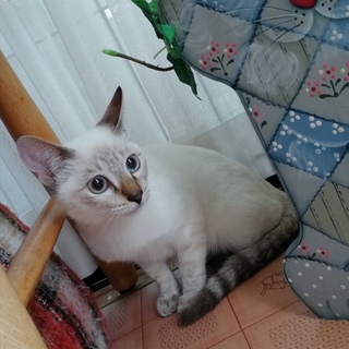 透き通る瞳が印象的な女の子