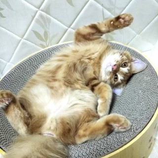 ぐいぐいきます(笑)積極的な元気溌剌な男の子