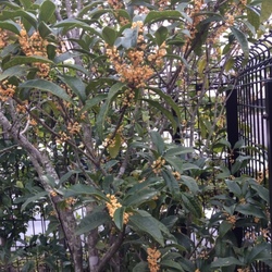 「間に合ったね(*´∀｀)銀太…」サムネイル2