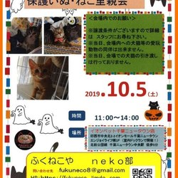 千葉県印西市 ふくねこや 里親会 サムネイル1