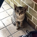 里親さま決定しました！