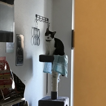 の写真