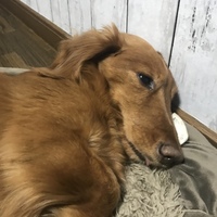 リク