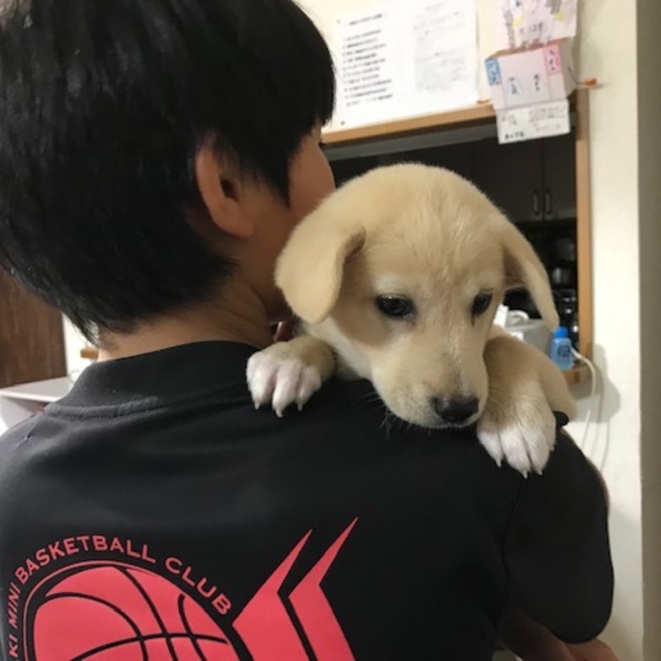 憩（いこい）のカバー写真