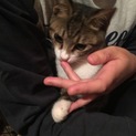 2番くん里親募集しています