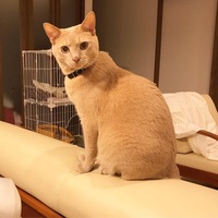 おうじ