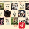 よつばとふたば